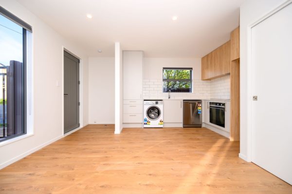 south_projects_portfolio_161_simeon_street_6